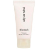 Papa Recipe Blemish Balm Лёгкий BB-крем с корректирующим эффектом для чувствительной кожи